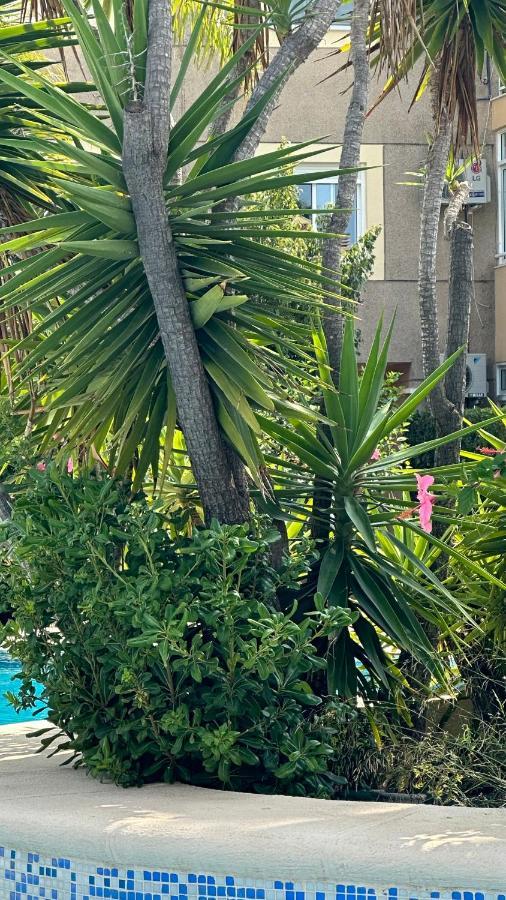 La Rosaleda 17 Apartamento Dénia Exterior foto
