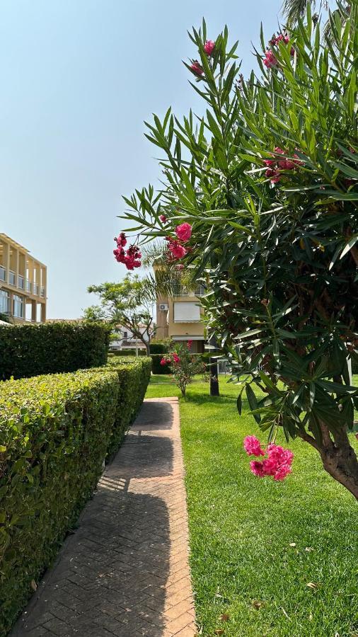 La Rosaleda 17 Apartamento Dénia Exterior foto